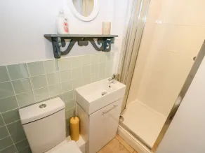 The Mistle Carr Farm - Baño