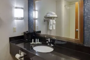 La Quinta by Wyndham Edmond - Salle de bain