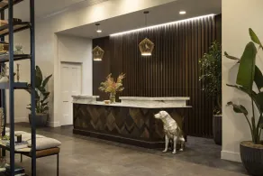 The Steward, Santa Barbara, a Tribute Portfolio Hotel - Réception