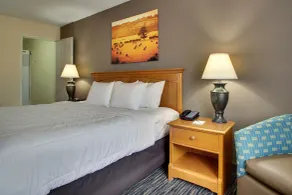 EverSpring Inn & Suites - Habitación