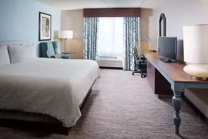 Hilton Garden Inn Albany Airport - Chambre