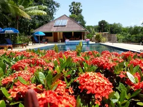 Faasai Resort & Spa - Piscina