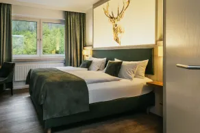 Waldhotel Ehrental - Room