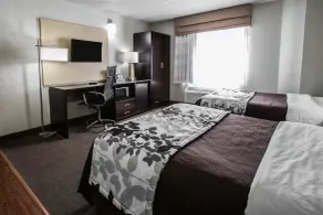 Sleep Inn Rockford I-90 - Chambre