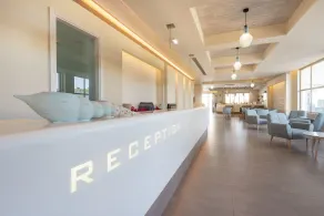 Apollon Windmill Boutique Hotel - Adults Only - Réception
