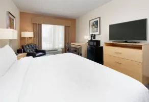Holiday Inn Express & Suites San Antonio - Brooks City Base by IHG - Chambre