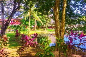 Drift Inn Cayo - View from room