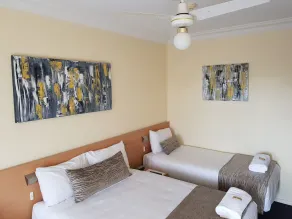 Maitland City Motel - Room