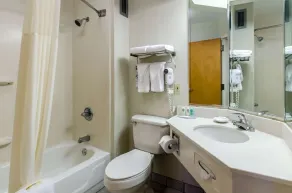 Quality Inn Lynchburg near University - Salle de bain