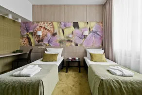 SPA VILNIUS Druskininkai - Room