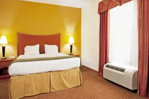 Holiday Inn Express Hotel & Suites Jacksonville North-Fernandina by IHG - Room