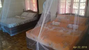 Coconut Garden Island Resort - Chambre