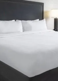 Renaissance Asheville Downtown Hotel - Chambre