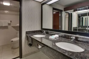 Drury Inn & Suites Houston Galleria - Bathroom