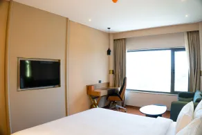 Pride Plaza Indore - Vista dalla camera