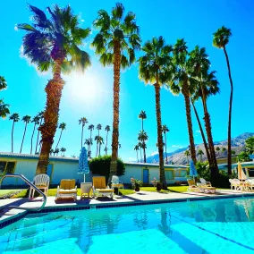 A PLACE IN THE SUN Hotel - ADULTS ONLY Big Units, 24h Heated Pool & Spa in 1 Acre Park Prime Location, DOG Friendly, TOP Midcentury Modern Boutique Hotel - Utsikt fra rommet