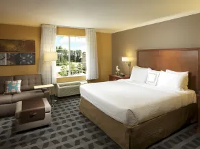 TownePlace Suites Houston Intercontinental Airport - Chambre
