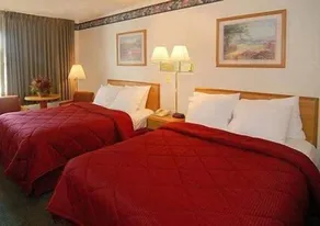 Comfort Inn Atkins-Marion I-81 - Zimmer