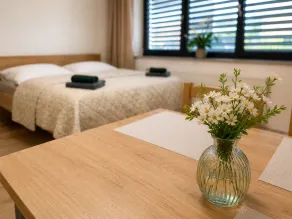 Microbyty & Apartments  - Habitación