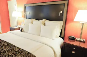 Mobile Marriott - Chambre