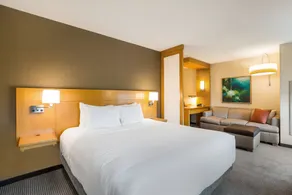 Hyatt Place Hampton Convention Center - Chambre