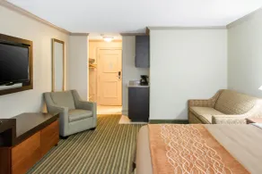 Comfort Inn Plainwell - Værelse