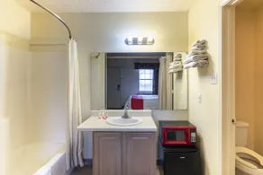 OYO Hotel Decatur TX Hwy 287 Northwest - Salle de bain