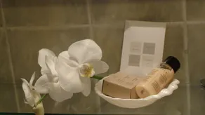 Hotel Cascade Superior - Salle de bain