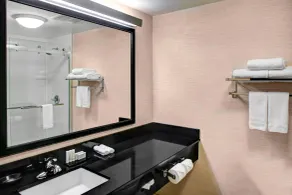 Fairfield Inn & Suites by Marriott Los Angeles LAX/El Segundo - Salle de bain