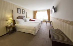 Eurostars Araguaney - Chambre