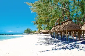 Ambre - Adults only - Restaurant