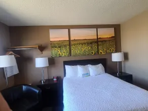 Days Inn by Wyndham Watertown - Room