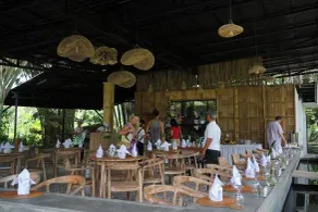 The Jungle Pots - Restaurant