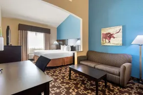 Best Western Plus Arlington North Hotel & Suites - Chambre