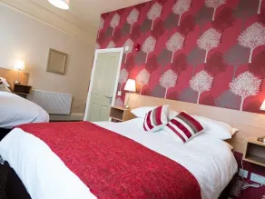 The Albert - Chambre