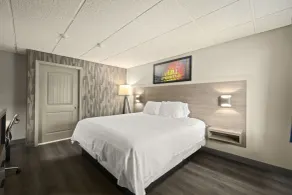 The Elmwood - Rom
