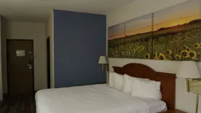 Days Inn by Wyndham Topeka - Room