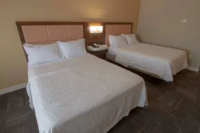 Hampton Inn & Suites Chesapeake-Battlefield Blvd. - Chambre