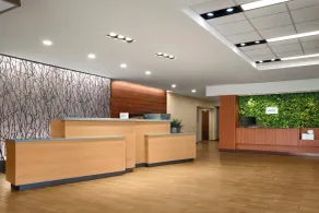 Fairfield Inn & Suites by Marriott Chesapeake Suffolk - Réception