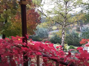 Crabtree House - Ausblick vom Zimmer