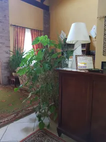 Hotel Damian Park Hotel Delle Magnolie - Resepsjon