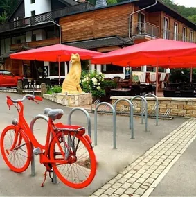 Hotel Roter Kater - Piscine