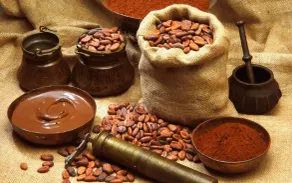 Grand Selva Lodge & Tours - Restaurant
