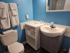 Metro Inn - Salle de bain