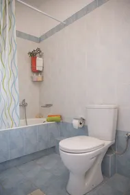 Agrotospita Country Houses - Bathroom