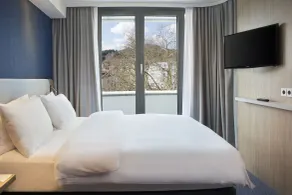 Holiday Inn Express Baden-Baden by IHG - Habitación