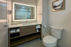 Comfort Inn & Suites East Greenbush - Albany - Salle de bain