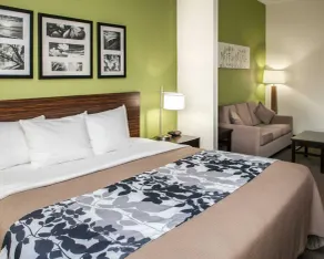 Sleep Inn & Suites Harrisburg - Hershey North - Chambre