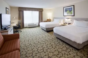 Hilton Garden Inn Minneapolis Eagan - Chambre
