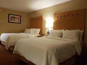 Holiday Inn Express Saltillo Zona Aeropuerto by IHG - Chambre